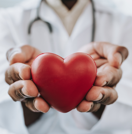 image of a doctor holding a heart